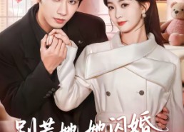 短剧《别惹她，她闪婚的老公是权爷（70集）》免费短剧高清全集享