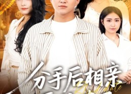 短剧《分手后相亲系统来了（81集）》短剧全集畅享免费播