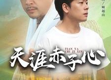 短剧《天涯赤子心（60集）》短剧免费全集畅快追