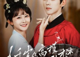 短剧《九千岁的高枝不敢攀（71集）》精彩短剧免费在线追全剧