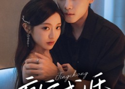 短剧《京宠成婚（79集）》精彩短剧免费全集览