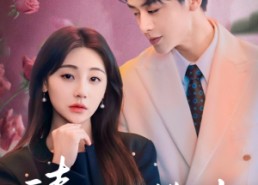 短剧《请别让我错过你（67集）》热门短剧全集免费播