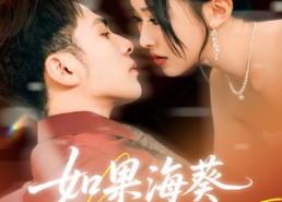 短剧《如果海葵会恋爱（55集）》短剧高清免费全集速览