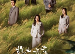 短剧《故土无亲归途有风（31集）》短剧高清全集在线播放