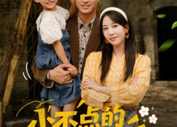 短剧《小不点的幸福生活（80集）》短剧超清全集免费观看