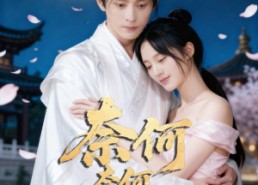 短剧《奈何奈何不逢君（57集）》超火短剧免费畅享观看