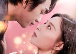 短剧《历总夫人她又跑了（78集）》短剧免费全集在线享