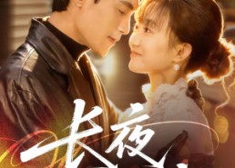 短剧《长夜不能寐（61集）》短剧免费全集高清畅播