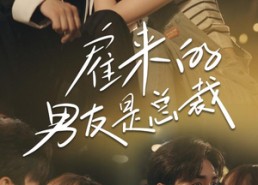 短剧《雇来的男友是总裁（50集）》热门短剧免费高清看