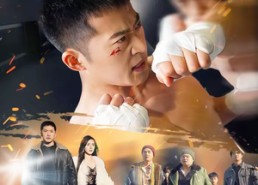 短剧《有钱没钱回家过年之这个大外甥不一般（81集）》热门短剧完整版免费观看