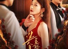 短剧《迷人且危险的她（81集）》热门短剧在线畅享观看