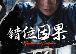 短剧《错位因果（40集）》免费短剧全集在线精彩享