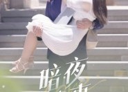 短剧《暗夜情事（100集）》爆款短剧全集免费观