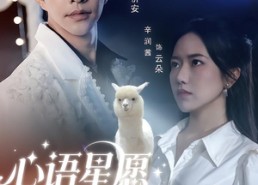 短剧《心语星愿之羊驼（60集）》短剧高清全集在线点播