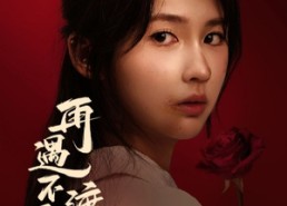 短剧《再遇不渡离德（70集）》短剧全集免费流畅播放