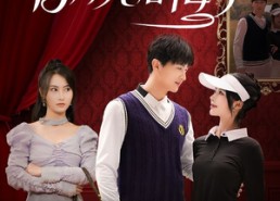 短剧《不爱后，白月光后悔了（90集）》精彩短剧完整版速览