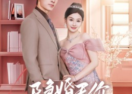 短剧《闪婚后总裁的农村娇妻甜翻了（57集）》爆款短剧全集免费看