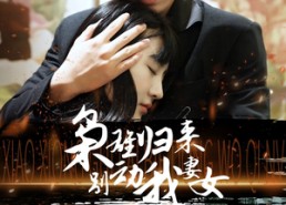 短剧《枭雄归来别动我妻女（70集）》精彩短剧全集免费观看