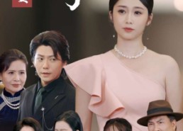 短剧《婆婆寿宴我的老公杀疯了（32集）》热门短剧全集免费看