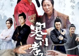 短剧《寒门孝子泪（31集）》短剧高清全集免费赏