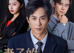 短剧《妻子的骗局（40集）》精彩短剧免费畅看全集