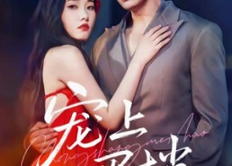 短剧《宠上眉梢（51集）》短剧全集免费在线播