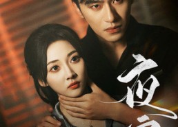 短剧《夜宴（80集）》短剧免费看全集无广告