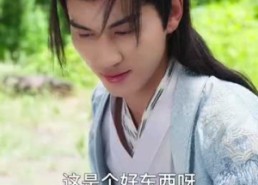 短剧《我悟性满级你让我剑冢守墓百年 (81集)》热门短剧全集免费看不停