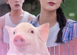 短剧《博士毕业我靠养猪上巅峰（66集）》爆款短剧免费在线播