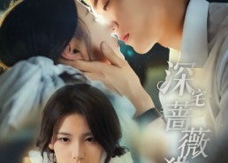 短剧《深宅蔷薇猎心计（66集）》高分短剧全集在线阅