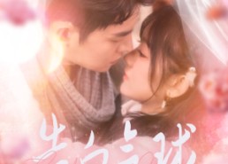 短剧《告白气球（94集）》热门短剧在线完整播放