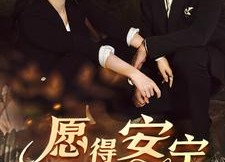 短剧《愿得安宁司南情（76集）》免费短剧全集速来观