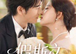 短剧《假斯文（80集）》免费短剧全集随心看