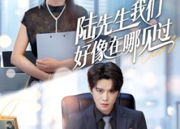 短剧《陆先生我们好像在哪见过（70集）》优质短剧免费全集观