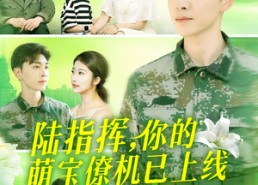 短剧《陆指挥你的萌宝僚机已上线（169集）》爆款短剧高清在线播放