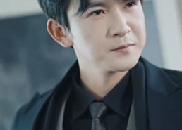 短剧《巅峰神婿（100集）》经典短剧免费在线赏