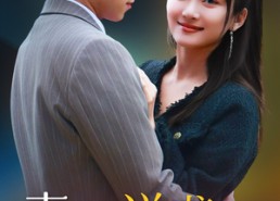 短剧《妻子的逆袭无所不能（36集）》免费短剧全集畅快看