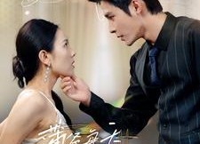 短剧《薄爷每天都想转正（99集）》高人气短剧在线赏玩