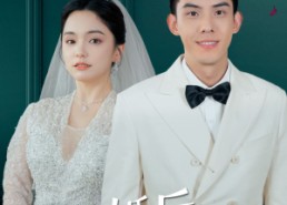 短剧《闪婚后江总他又宠又撩（82集）》短剧免费全集在线直看