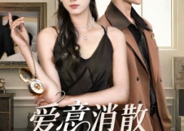 短剧《爱意消散倒计时（35集）》短剧免费全集畅快追看