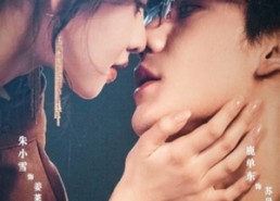 短剧《当归遇上野格（66集）》热门短剧无广告全看