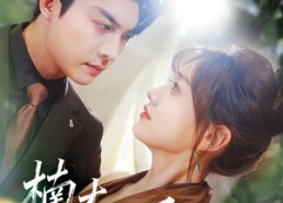 短剧《楠木向阳（70集）》短剧全集高清在线看