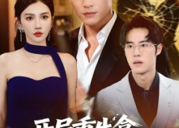 短剧《开局重生拿回属于我的一切（80集）》免费短剧全集畅享观看