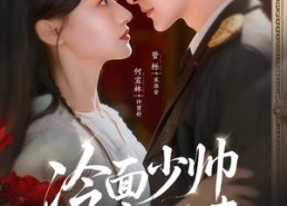 短剧《冷面少帅宠医妻（65集）》短剧完整版免费观看