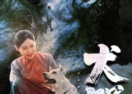 短剧《犬咒（45集）》短剧完整版免费在线追