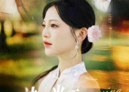 短剧《诀别当天傅先生哭晕了（62集）》短剧高清完整版免费瞧