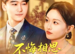 短剧《不悔相思寄南乔（100集）》爆款短剧免费全集观看