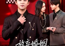 短剧《放弃婚姻，系统赠我开挂人生（60集）》短剧大作免费畅享