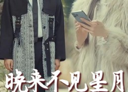 短剧《晚来不见星月（40集）》短剧在线免费全集追