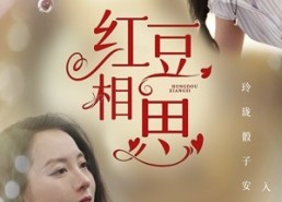 短剧《红豆相思（67集）》短剧免费高清全集畅享